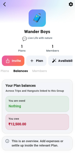 Wander Boys group Balances tab showing Your Plan balances across linked trips and hangouts
